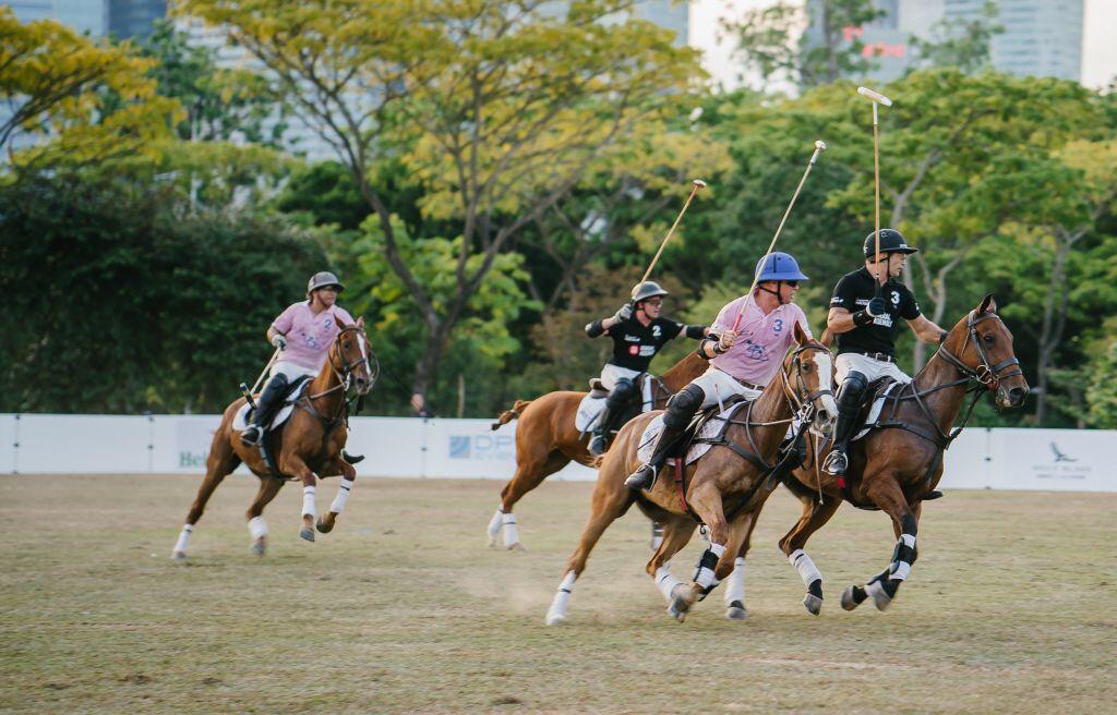 reitsport-polo Reitsport-Polo